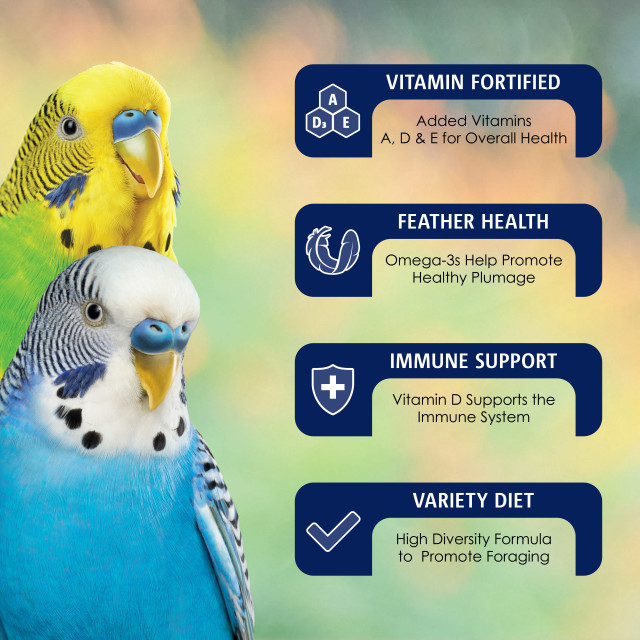Feature-Image showing VitaSmart Parakeet
