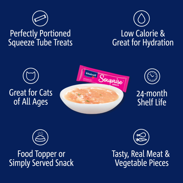 Feature-Image showing Souprise® Snack Salmon, 4 Pack