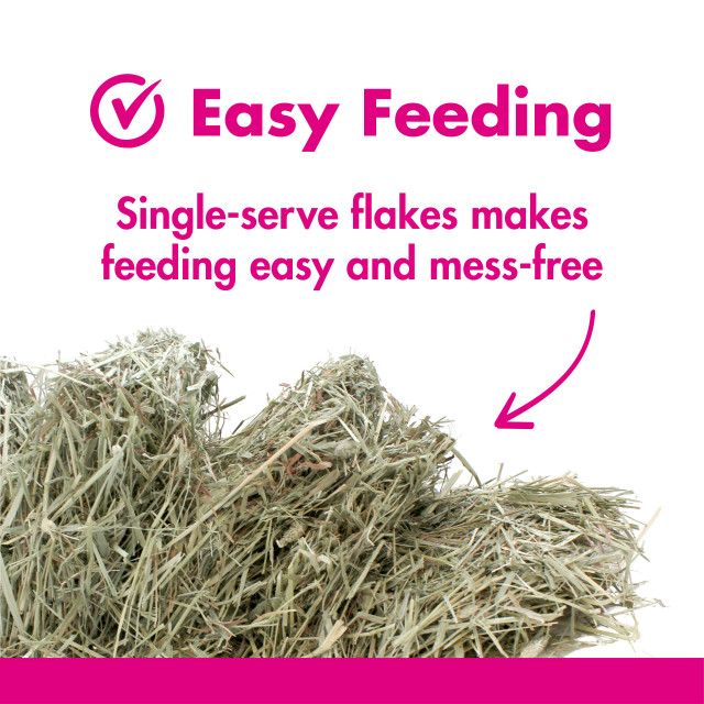Feature-Image showing Orchard Grass Hay