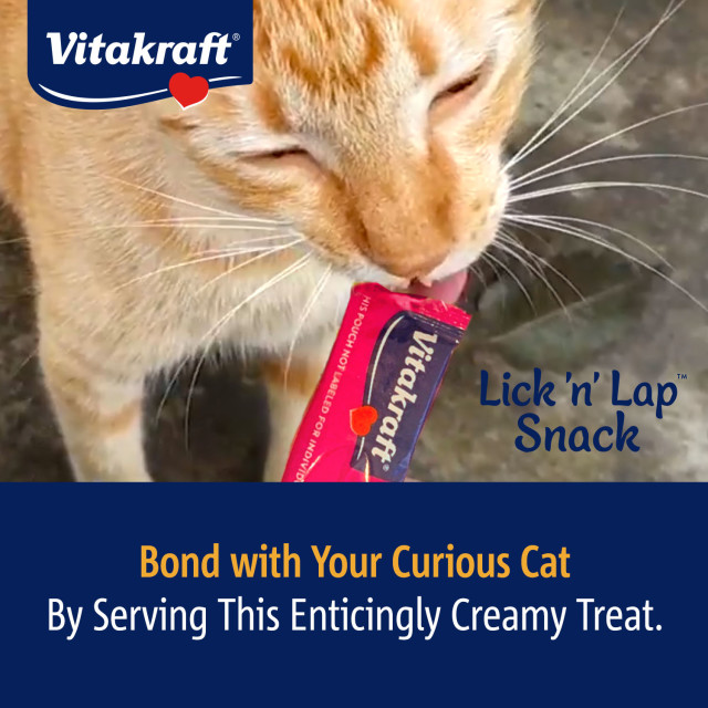 Feature-Image showing Lick ‘n’ Lap Snack™ Salmon Flavor, 5 Pack