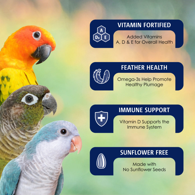 Feature-Image showing VitaSmart Conure & Small Parrot