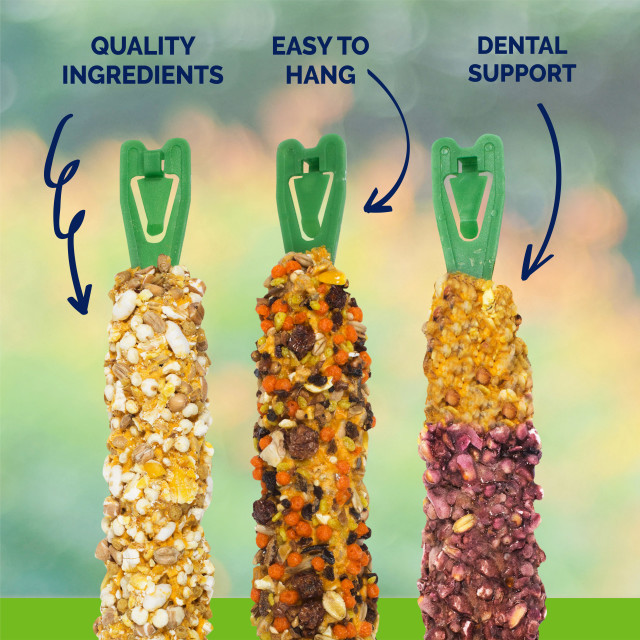 Feature-Image showing Crunch Sticks Wild Berry & Honey Flavor