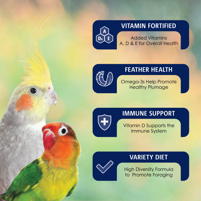 Feature-Image showing VitaSmart Cockatiel & Lovebird