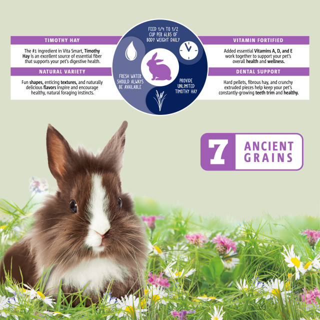 Feature-Image showing Vita Smart Rabbit