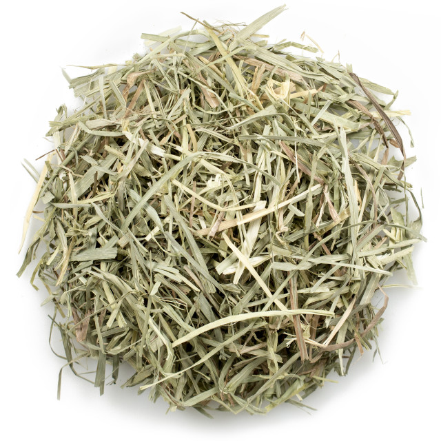 Raw-Image showing Orchard Grass Hay