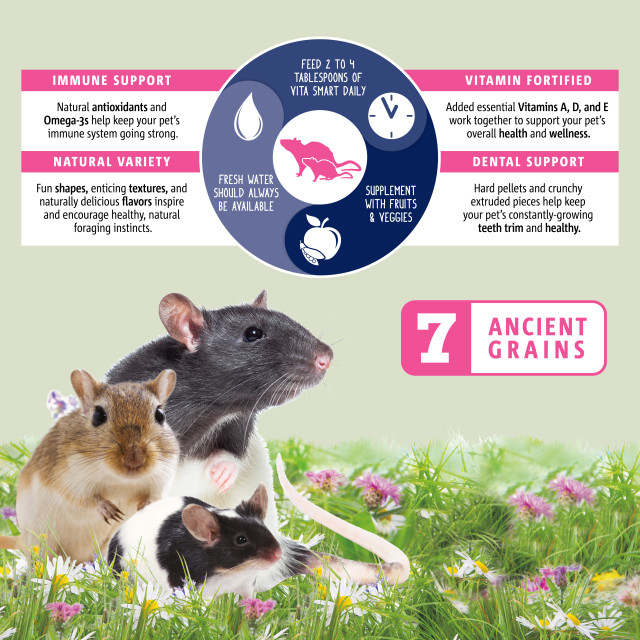 Feature-Image showing Vita Smart Rat, Mouse & Gerbil