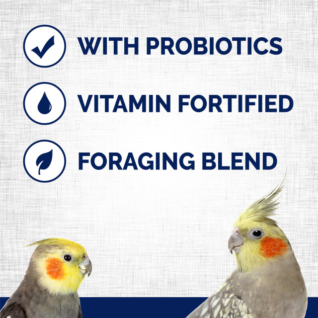 Feature-Image showing Menu Cockatiel